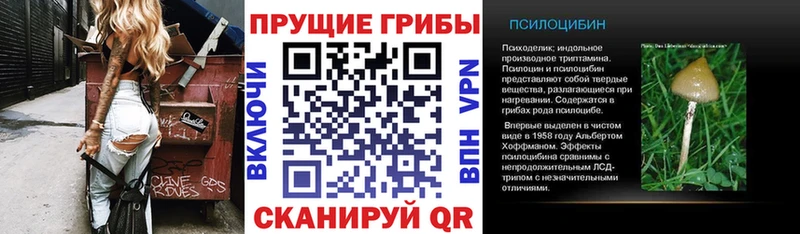 Псилоцибиновые грибы MAGIC MUSHROOMS  Купить где  Омск 